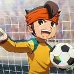 Foto do grupo Inazuma eleven victory road