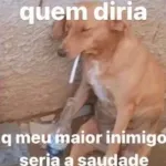 Icone All' Mossu da Silva Jr