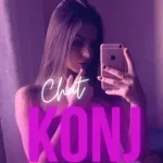 Icone Chat Do Konj