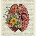 Foto do grupo Ciencias Naturais e Exatas