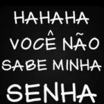 Foto do grupo Amizade & zueira