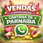 Icone Vendas e Divulgacao Santana de Pa