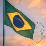 Icone Amizades do Brasil e Coli