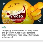 Icone International funny video