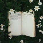 Icone PDFs
