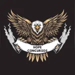 Foto do grupo Hope concursos (redacao)