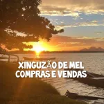 Icone XINGUZAO DE MEL COMPRAS E VENDAS
