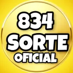 Icone 834SORTE