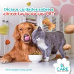 Icone Marmitas para pet
