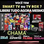 Icone Loucos Por iptv P2P E Netflix