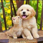 Icone PETS SAUDAVEIS
