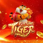 Icone SINAL E HORARIOS TIGRINHO PLATAFORMA NOVA