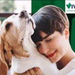 Icone O melhor para nossos pets
