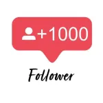 Icone Divulgue seu insta