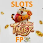 Icone SLOTS FP