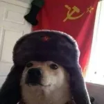 Icone Galera do zap zap